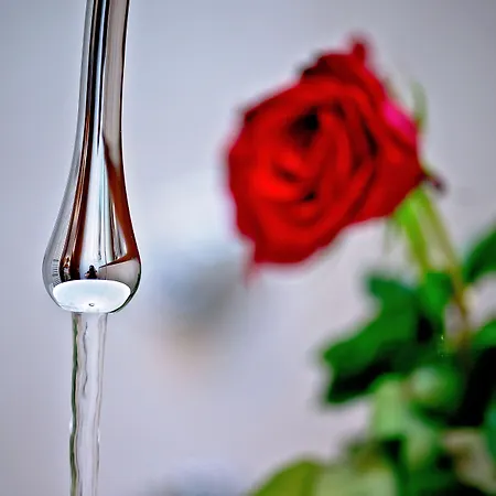 Jupiter Heritage Hotell