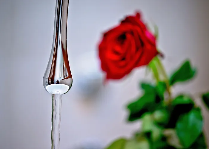 Jupiter Heritage Hotel